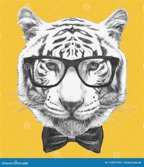 Portrait Of Tiger With Glasses And Bow Tie Hand Drawn Illustration