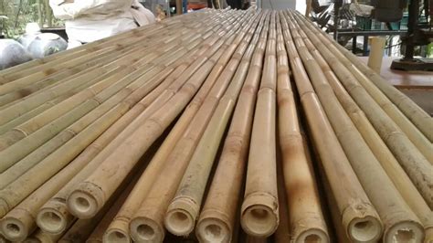 Wholesale Vietnam Bamboo Poles 100 Natural Bamboo Polecanestick