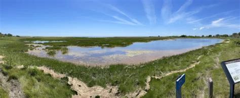 Best Hikes And Trails In Monomoy National Wildlife Refuge Alltrails