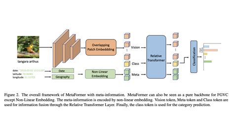 Researchers From Bytedance Introduce Metaformer A Unified Meta