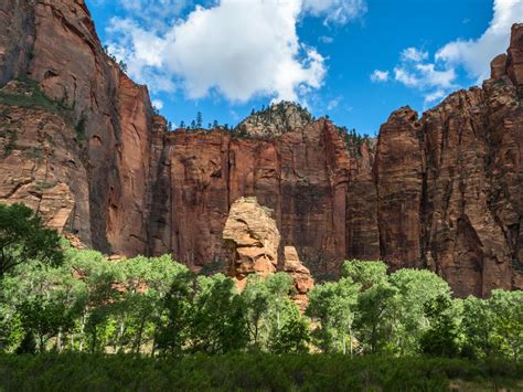 Can You Drive Through Zion National Park LazyTrips