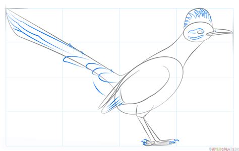 How To Draw A Roadrunner Step By Step Drawing Tutorials