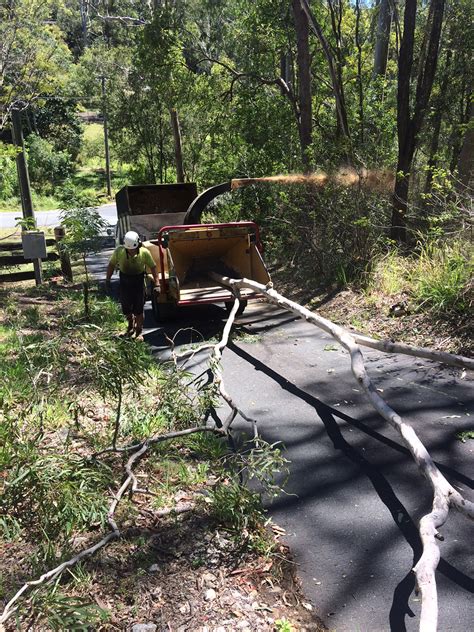 Affordable North Brisbane Tree Lopping Brisbane Mulching Service