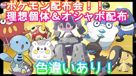 【ポケモン剣盾】オシャボ＆理想ポケモン配布会2022917（色違いあり）※概要欄必読！【終了時間0時まで】ポケモン ポケモン剣盾