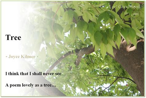 Shincheonji "Good Seed": Famous Poems about Life-Joyce Kilmer Trees