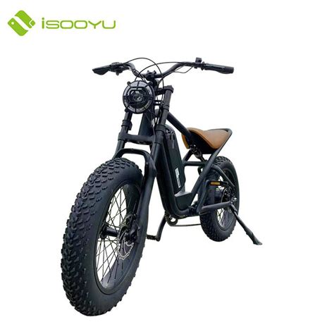 New Powerful 2 Seats Retro Style 20 Inch 750w 48v Fat Tire Electric Bike China Electric Bike