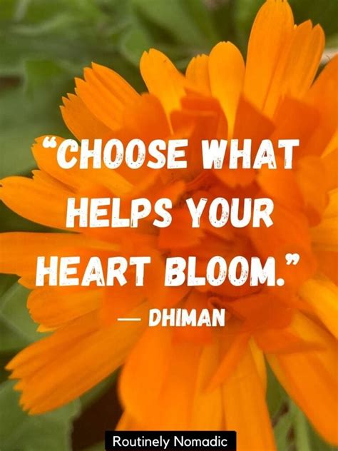 120 Bloom Quotes Perfect Blooming Flower Sayings Routinely Shares