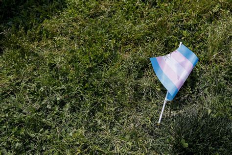 Gender Medicine Needs To Stop Treating Young Patients Like Guinea Pigs ...