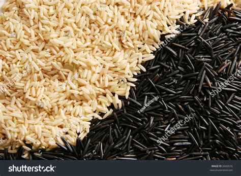 Black Brown Rice Stock Photo 2600576 Shutterstock