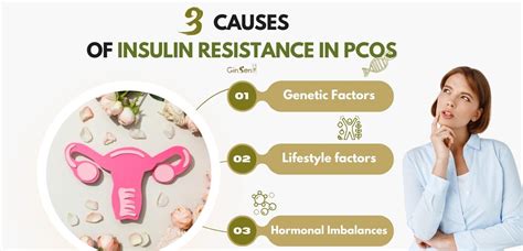 Insulin Resistance In Pcos What You Need To Know Ginsen