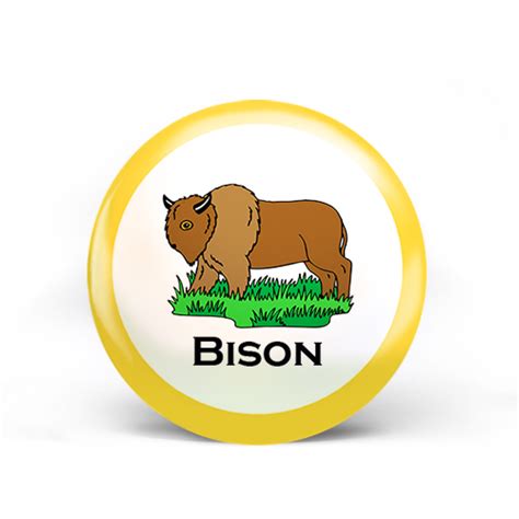 Bison Badge Curiosity Untamed Store