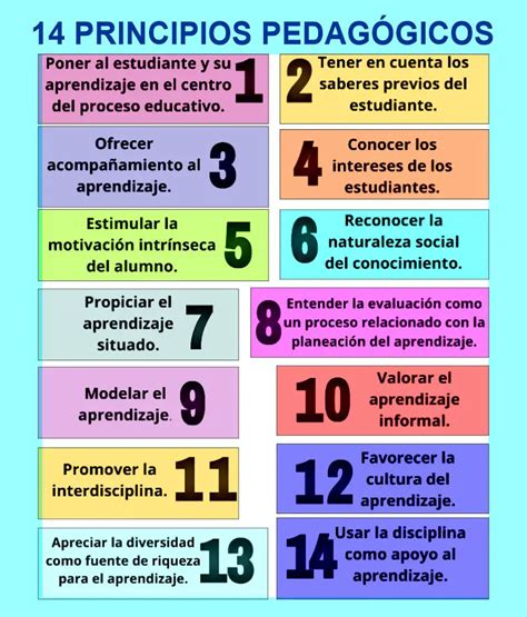 Los 14 Principios Pedagogicos Que Todo D NBKomputer