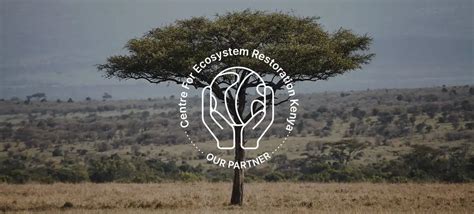 Centre For Ecosystem Restoration Kenya Solving A Seed Shortage And Employing Women