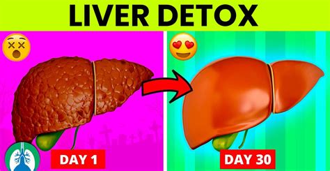 Liver Cleanse Hyaluxe Body