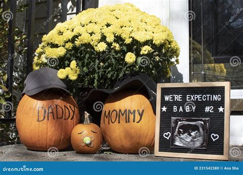 Fall Pregnancy Announcement With Pumpkins And Ultrasound Picture Stock