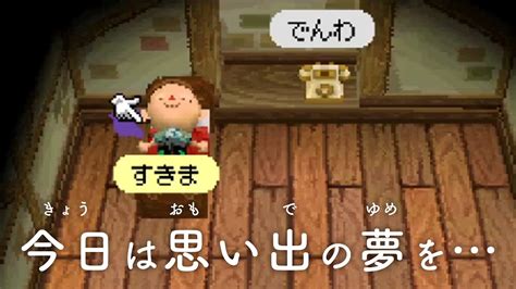 おいでよどうぶつの森 Bgm 「おやすみ前にぴったり癒やしの屋根裏部屋｜オルゴール」【勉強用／睡眠用】 Youtube