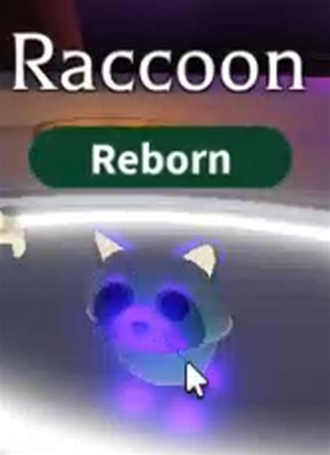 Trading A Np Neon Raccoon If Anyones Interested Fandom