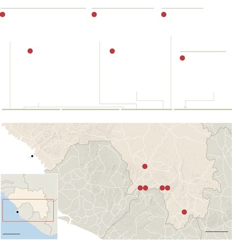 Tracing Ebolas Breakout To An African 2 Year Old The New York Times