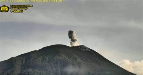 Erupsi Terkini Gunung Ile Lewotolok Gempa Disertai Gemuruh Dan Lava