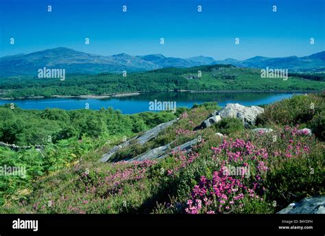 Moelwyns and Trawsfynydd Lake Snowdonia North Wales Stock Photo - Alamy