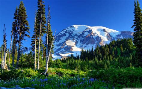 Mount Rainier 4k Wallpapers Top Free Mount Rainier 4k Backgrounds