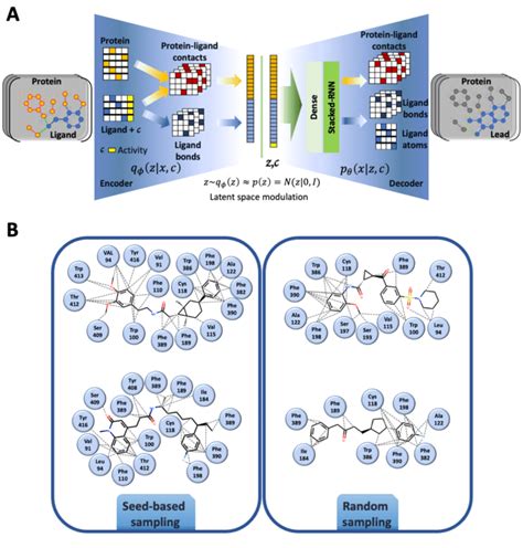 Architecture Of D Graph Based Generative Models Including The D