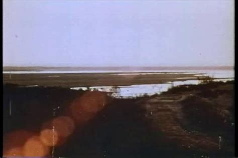 Nude Eve Sweet Videos And Pictures Recent Posts Page Forumophilia Porn Forum