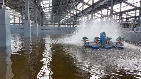 中華鱻傳媒 南市推漁電共生 創造養殖×綠能雙贏