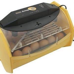 Brinsea Octagon Eco Auto Turn Egg Incubator Backyard Chickens