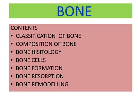 Solution Alveolar Bone Studypool