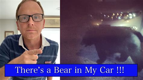 Unbelievable Theres A Bear In My Car Caught On Camera Youtube