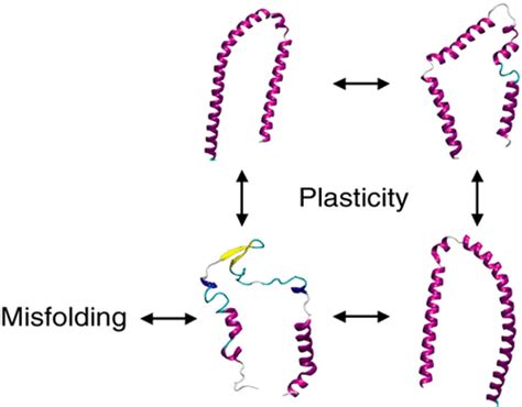 Insight Into α Synuclein Plasticity And Misfolding From Differential