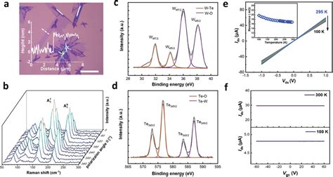 The Characterization Of Cvd‐grown Td‐wte2 A Photograph Of Cvd‐grown Download Scientific