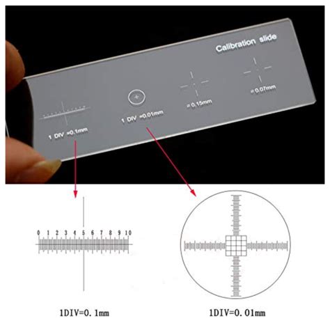 Mm Microscope Calibration Slide Microscope Accessories