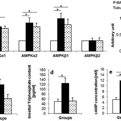 Cgrp Expression Profile In Different Parts Of The Brain In The Groups