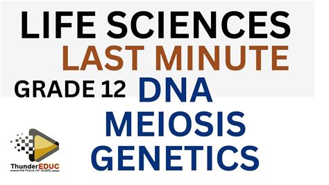 Last Menute Life Sciences Grade 12 Dna Code Of Life Meiosis Genetics