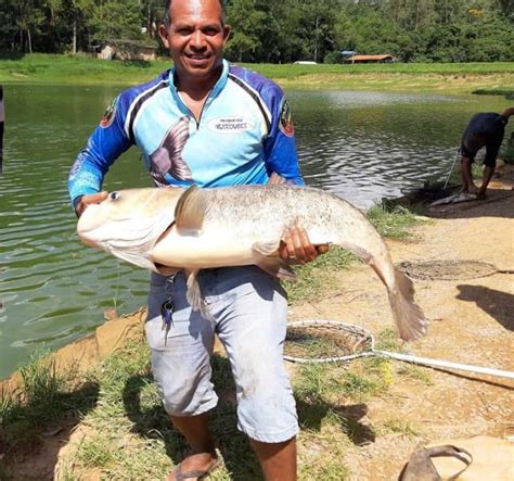 Pesca Pesqueiros O Guia Completo Para Sua Pescaria