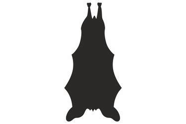 Bat Svg Clipart Cricut Royalty Free Vector Image