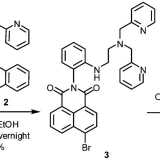 A Fluorescence Intensity Changes Of Probe 1 10 MM And Its Zn II