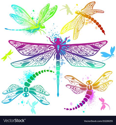 Set Of Color Dragonflies Royalty Free Vector Image