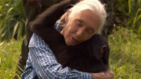 Watch 60 Minutes Jane Goodall And Her Chimps Full Show On Cbs All Access