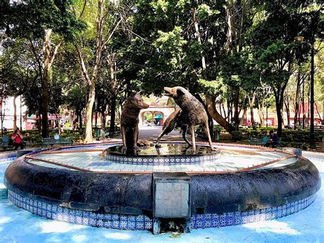 Jardín Centenario The Park at the Center of Coyoacán