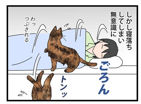 添い寝② 保護猫かやさん～凛々しいサビ猫様と私～