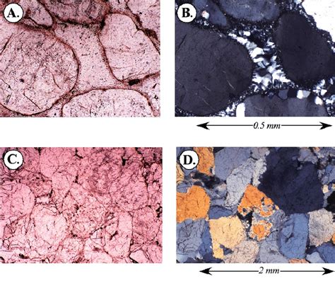 9 Photomicrographs In Plane Polarized Light A And Cross Polarized