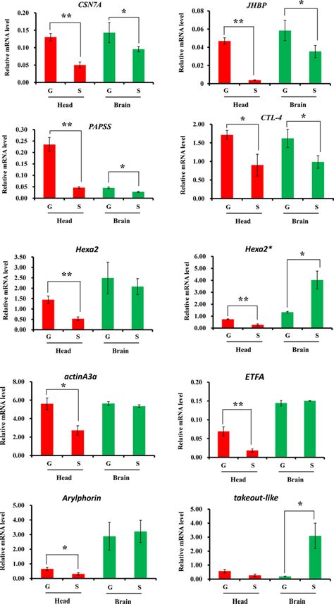 The Mrna Expression Profiles In The Two Phase Locusts The Mrna Download Scientific Diagram