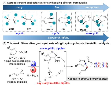 张万斌课题组angew：双手性金属协同催化用于螺环化合物的立体发散性合成 变革性分子前沿科学中心