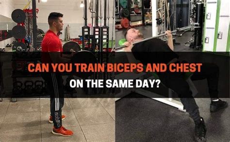 Should I Workout Chest And Triceps On The Same Day Eoua Blog