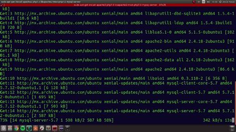 Como Instalar Apache Php Y Mysql En Ubuntu Lts Youtube