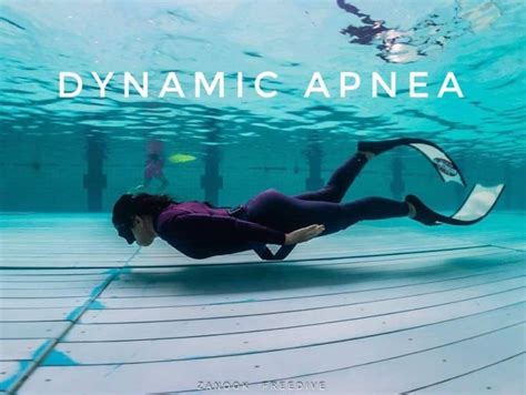 Dynamic Apnea Zanook Dive