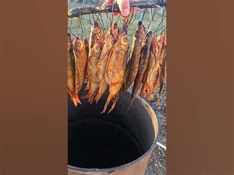 "Копченая Вобла, Шамайка: Шедевры Копчения и Неповторимый Вкус" #fish # ...